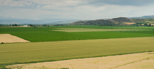 Fototapeta na wymiar Panoramic view of corn, wheat, barley and potato fields