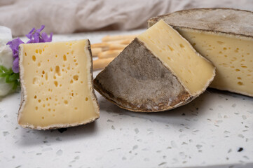 Cheese collection, matured cow cheese with mold tommette de savoie from France, cheese made in Alpine mountains