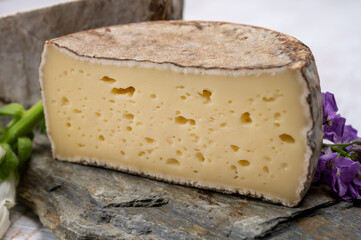 Cheese collection, matured cow cheese with mold tommette de savoie from France, cheese made in Alpine mountains