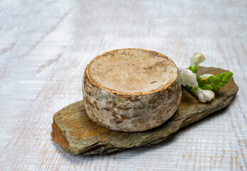 Cheese collection, matured cow cheese with mold tommette de savoie from France, cheese made in Alpine mountains