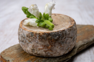 Cheese collection, matured cow cheese with mold tommette de savoie from France, cheese made in Alpine mountains