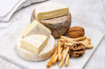 Cheese collection, fresh white soft cow cheese with mold from Swiss and tommette de savoie from France, cheese made in Alpine mountains