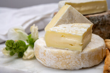Cheese collection, fresh white soft cow cheese with mold from Swiss and tommette de savoie from France, cheese made in Alpine mountains
