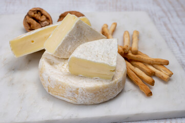 Cheese collection, fresh white soft cow cheese with mold from Swiss