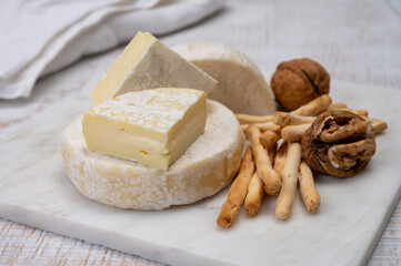 Cheese collection, fresh white soft cow cheese with mold from Swiss