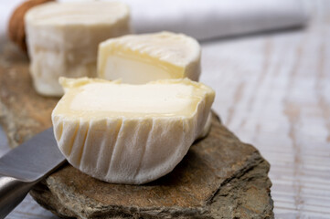 Cheese collection, soft goat French cheese with mold crottin de Chavignol produced in Loire Valley