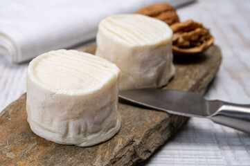 Cheese collection, soft goat French cheese with mold crottin de Chavignol produced in Loire Valley