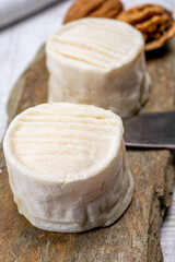 Cheese collection, soft goat French cheese with mold crottin de Chavignol produced in Loire Valley