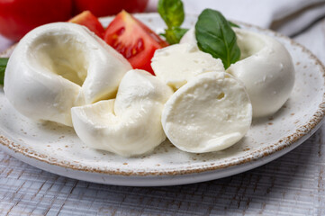 South Italian soft white mozzarella cheese made from buffalo cows milk served with ripe tomatoes and fresh green basil herb