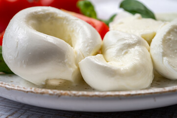 South Italian soft white mozzarella cheese made from buffalo cows milk served with ripe tomatoes and fresh green basil herb