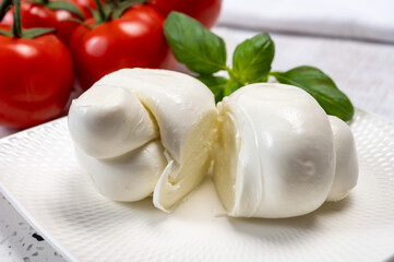 South Italian soft white mozzarella cheese made from buffalo cows milk served with ripe tomatoes and fresh green basil herb