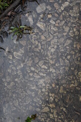 Water Over Gravel