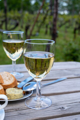 Tasting of Dutch white wine served outdoor on green meadow with vineyard, wine production in...