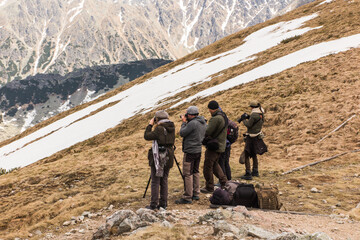 A few people taking photos of the Tatra Mountains  in Poska