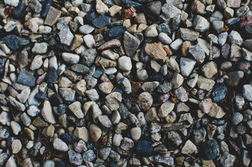 closeup of pea gravel