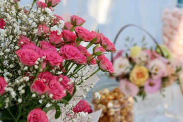 pink and white flowers