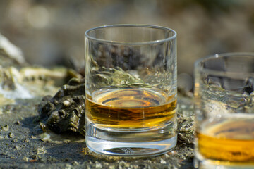 Tasting of single malt or blended Scotch whisky and seabed at low tide with algae, stones and oysters on background, private whisky tours in Scotland, UK