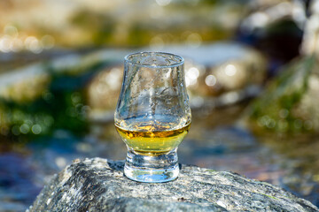 Tasting of single malt or blended Scotch whisky and blue sea with stones and oysters on background, private whisky tours in Scotland, UK