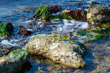 Tasting of single malt or blended Scotch whisky and blue sea with stones and oysters on background,...