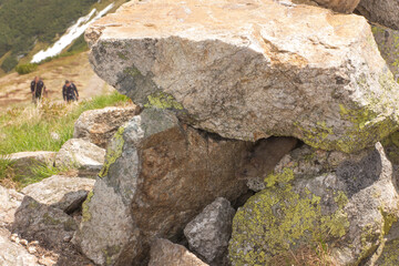 A mouse under a rock found on a mountain trail in the Tatra National Park in Poland