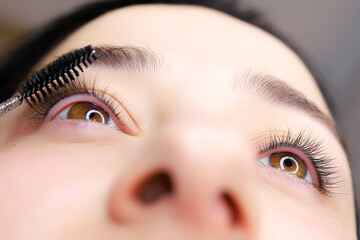 close-up of the model's eye with a curl of cilia the work is done lamination of eyelashes the...