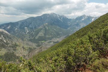 Fototapeta premium View from the Ornak ridge towards the High Tatras