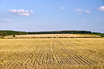 Rural landscape with stubble during summer