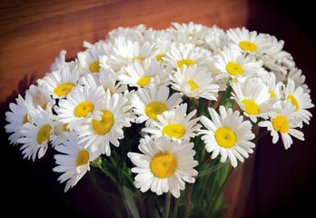 Fototapeta premium Bouquet of large whites daisies