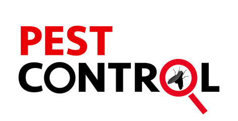 Pest control web banner such as insects. silhouette of a fly under a magnifying glass on a white background. Vector, illustration