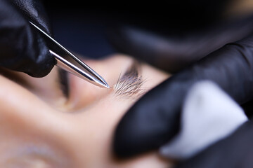 the master of permanent makeup prepares the client's eyebrows for the procedure plucking out the hairs with tweezers