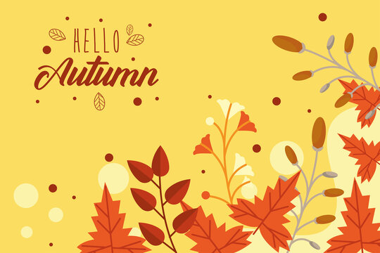 hello autumn card