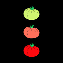 Bright vector illustration with tomatoes on a black background.