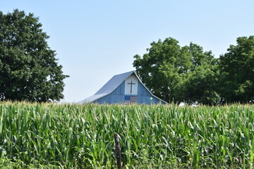 Barn in a Corn Field