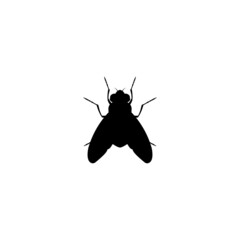 Black silhouette of a fly on a white background. Flat style design. Vector, illustration
