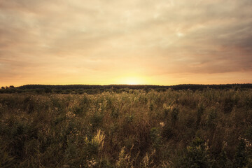 Fototapeta na wymiar Beautiful sunrise scenery over rural field with dramatic orange sky and forest on horizon 