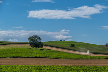 Hügelige Agrarlandschaft mit Obstbäumen