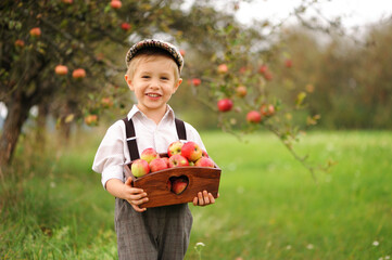 Smiling little boy with apples in an autumn orchard.