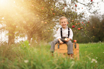 Smiling little boy with apples in an autumn orchard.