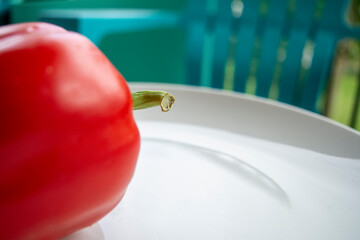 Red Bell Pepper from my Garden, Cropped
