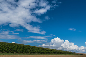 Fototapeta na wymiar Wolkenhimmel über Agrarlandschaft
