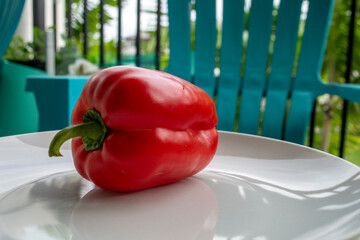 Red Bell Pepper from my Balcony Garden