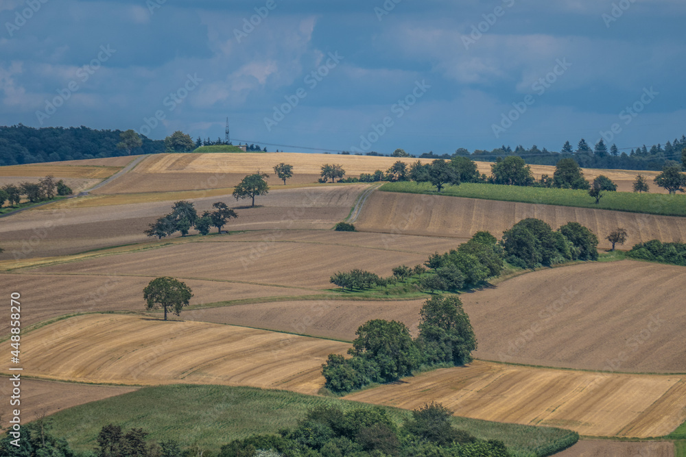 Wall mural Hügelige Agrarlandschaft mit Obstbäumen