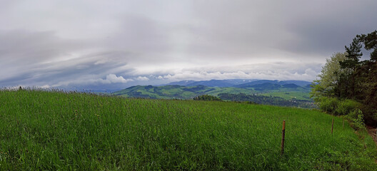 Panorama scenic view of meadow against polish mountains on a way to Lubon wielki famous for hiking trails of varying difficulty located near Rabka in the region of Beskid Wyspowy, Poland. - obrazy, fototapety, plakaty
