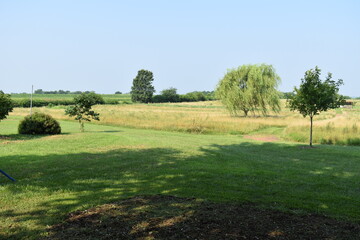 Field