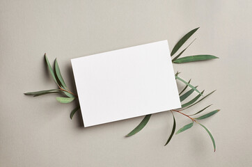 Greeting card or invitation mockup with green eucalyptus twigs