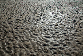 Sand texture on the river banks