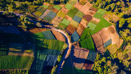 Campos de Siembra © OWalter