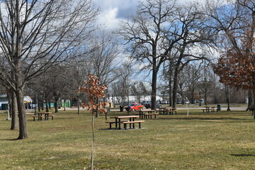 Como Park in Spring Time