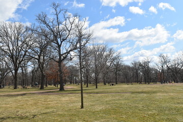 Como Park in Spring Time