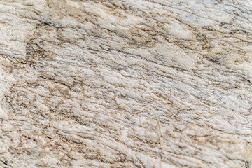 Background with the texture of natural stone.